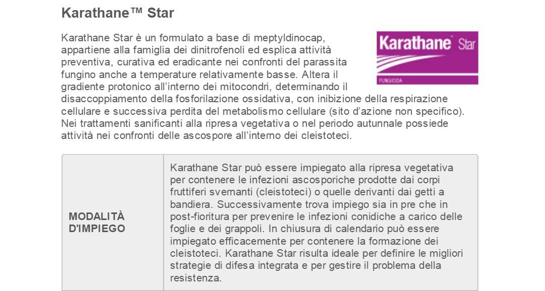 descrizione-Karathane-Star-fungicida