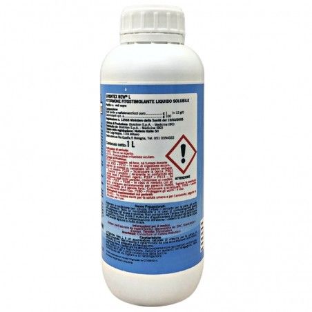 SPRINTEX NEW L BIOLCHIM Fitoregolatore promotore di crescita