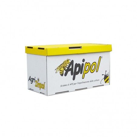 Apipol Agri Impol bee colony for pollination in greenhouses and orchards