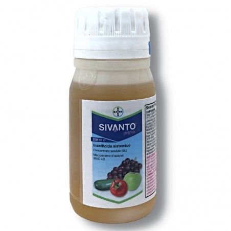 Sivanto prime Bayer Insetticida sistemico ad ampio spettro 2