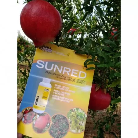 SUNRED Biopromotore maturazione e colorazione dei frutti