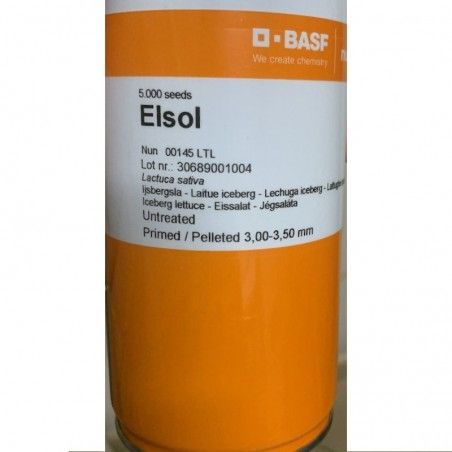 Samen Eisbergsalat Elsol 5000 gepillte Samen