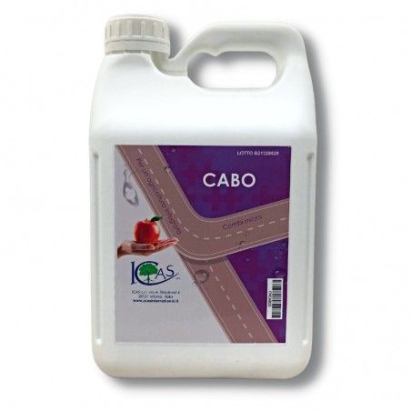 Cabo Combi Micro soluzione di cloruro di Calcio con Boro (B) 2