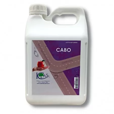 Cabo Combi Mikroroztwór chlorku wapnia z borem (B) 2