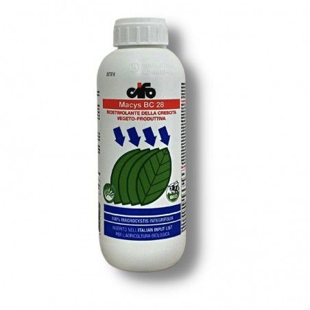 Macys BC 28 Cifo biostimolante Concentrato puro di alga marina macrocystis integrifolia