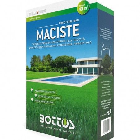 Nasiona trawnika Zielona darń Maciste BOTTOS Dywan o... 2