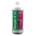 Amylo-X LC Biogard Fungicida battericida Bacillus amyloliquefaciens