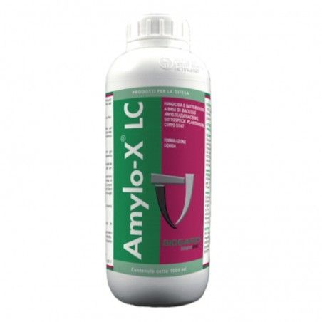 Amylo-X LC Biogard Fungicida battericida Bacillus amyloliquefaciens
