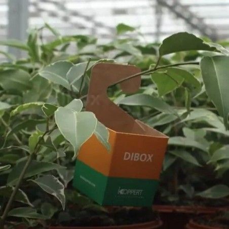 DIBOX KOPPERT 400 Stück Behälter für Nützlinge