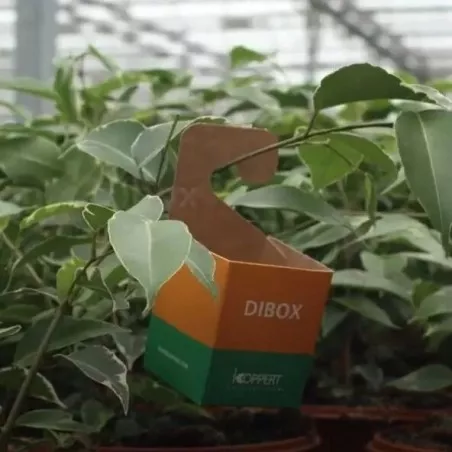 DIBOX KOPPERT 400 pcs container for beneficial insects