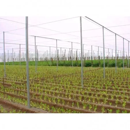 Anti-aphid net for greenhouses H 3mt Mesh (mesh)16mm per linear meter