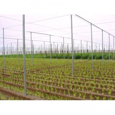 Siatka przeciw mszycom do szklarni H 3mt Siatka (siatka) 20mm na metr bieżący