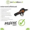 Manutenzione ordinaria Tagliando Pellenc C35