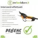 Ordinary maintenance Prunion PELLENC service