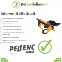 Ordinary maintenance/Vinion PELLENCscissor service