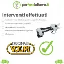 Manutenzione ordinaria/Tagliando forbice a batteria volpi KV310
