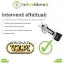 Routine maintenance/Servicing of battery-powered pruning shears volpi KV380