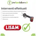 Manutenzione ordinaria/Tagliando forbice da pota a batteria Lisam TL 37