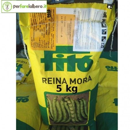 SEMENTI FAVE Reina Mora medio precoce FITO 2