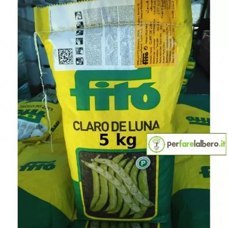 Nasiona wczesnego bobu CLARO DE LUNA 2