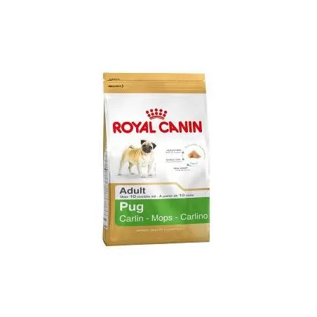 Royal Canin Breed Pug Adult Pug breed