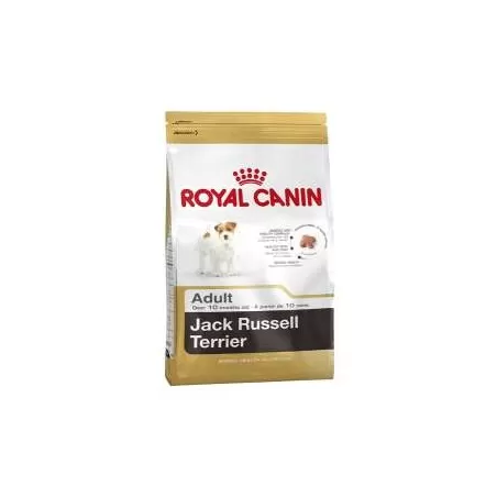 Royal Canin Breed Jack Russell Terrier Adult