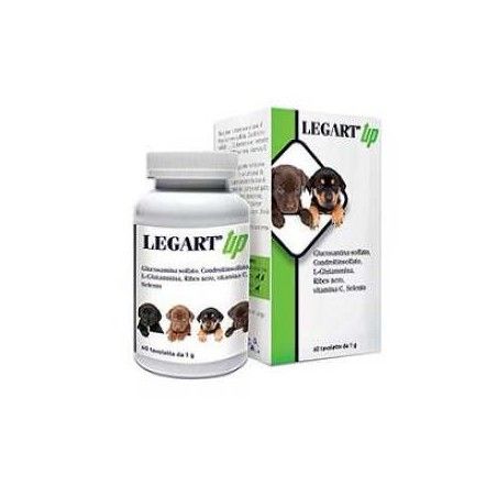 Szczenięta Legart Up