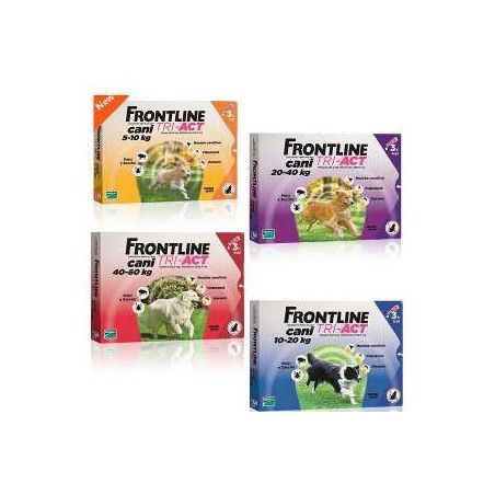 Frontline Tri-Act Hunde Antiparasitär gegen Zecken, Flöhe, Mücken und Sandmücken