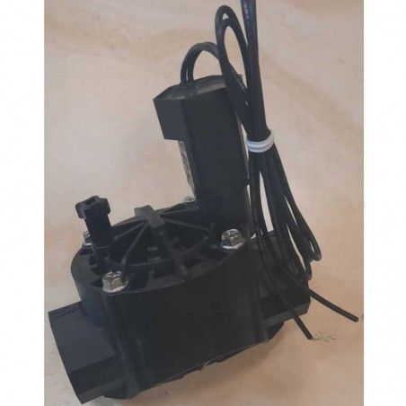 Elettrovalvola Irrigazione Rain Bird HV 1 pollice FF 24V