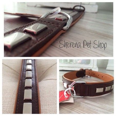 Studded Texas dog collar 2