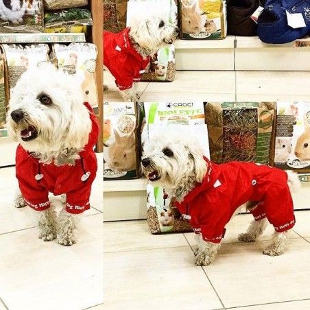 Impermeabile per cani Willy Camon