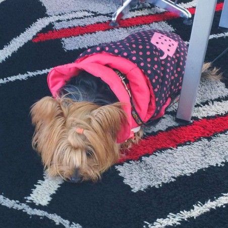 Daunenjacke für Hunde New York Ferribiella 2