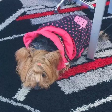 Dog Down Jacket New York Ferribiella 2
