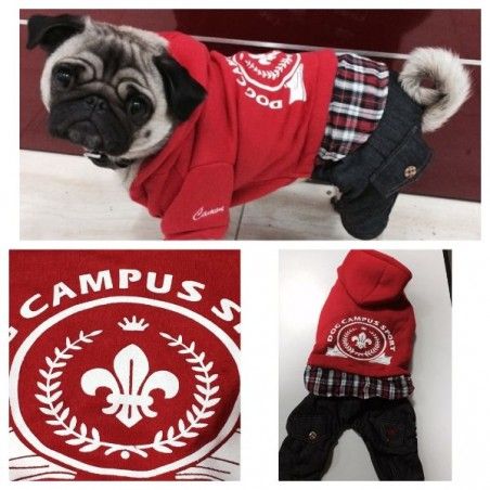Printed dog sweatshirt with detachable trousers Camon
