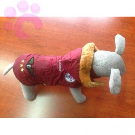 Giacca per cani Impermeabile Lio Bordeaux Camon 2