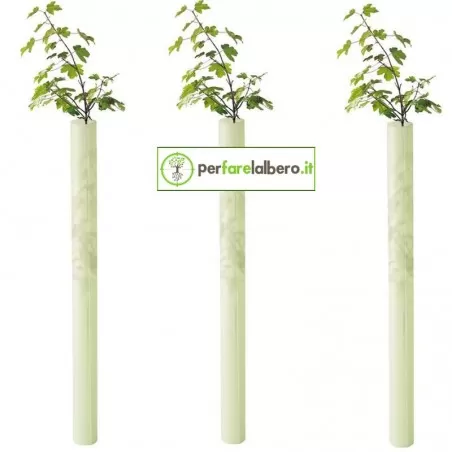 Tubex Fruitwrap protezione alberi da frutto