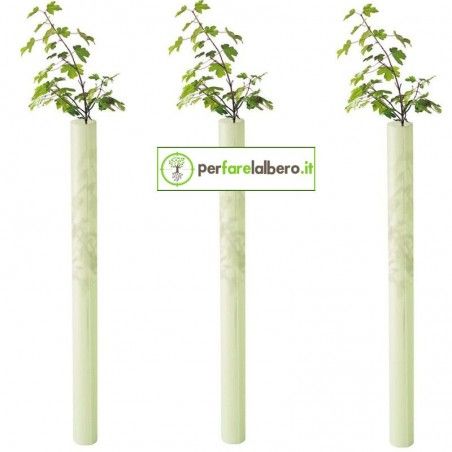 Tubex Fruitwrap protezione alberi da frutto