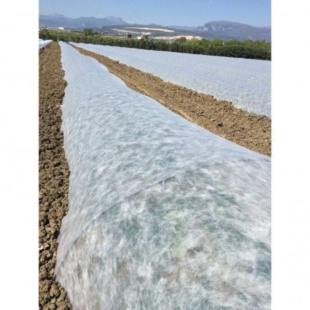Ortoclima Tessuto Non Tessuto Protezione colture dal gelo