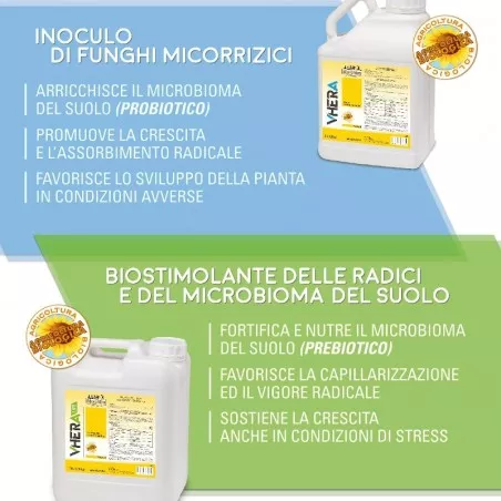 VHERA Life Biolchim Inoculo di funghi micorrizici... 2