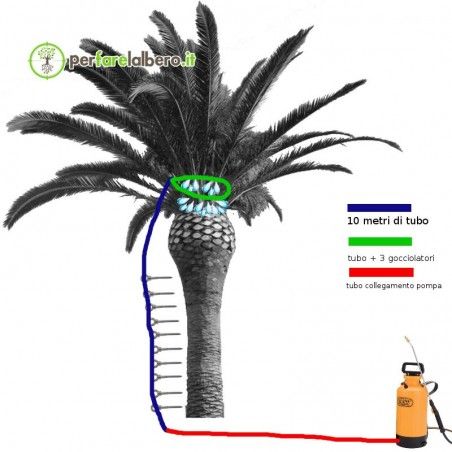 KIT collegamento pompa per trattamento Palme Punteruolo Rosso