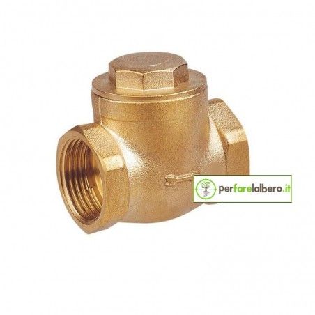 Valvola di ritegno BOTTICELLI clapet F/F sede gomma RIV 2251