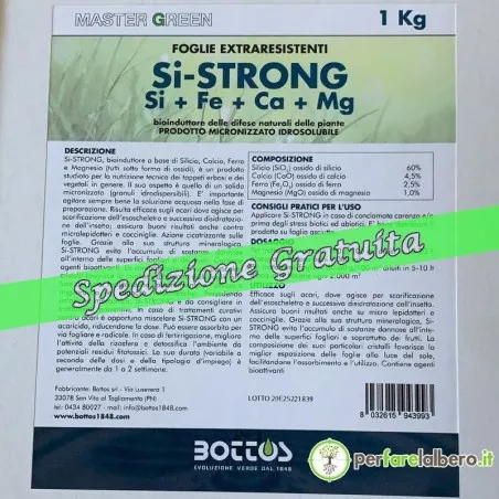 Bottos Si-Strong bioinducer based on Silicon, Calcium, Iron and Magnesium 1 Kg