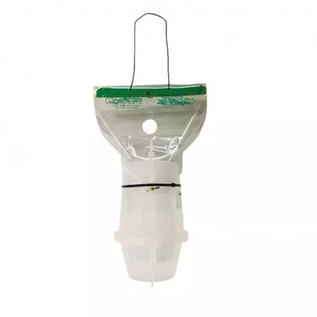 Anomalous Trap Überwachung der Massenabscheidung von Trap Anomalous Vitis mit Pheromon