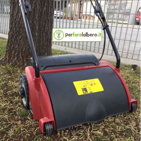 Electric Lawn Scarifier EINHELL GC-ES 1231