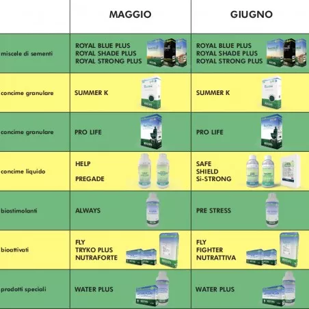 Bottos Master Green Safe concime tappeto erboso Manganese e Zinco chelati