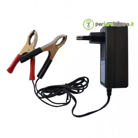Carica Batteria Automatico Lacme Parkmatic 1-12 (1A 12V)