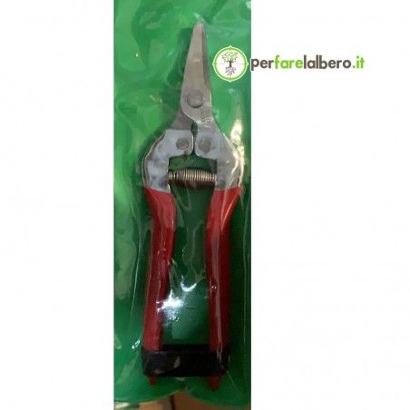 Forbice cogliagrumi curva 16 cm SAD