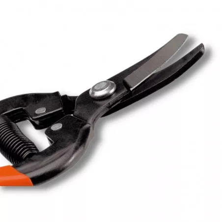 UTILIA Traubenschere 16 cm gebogene Klinge 2