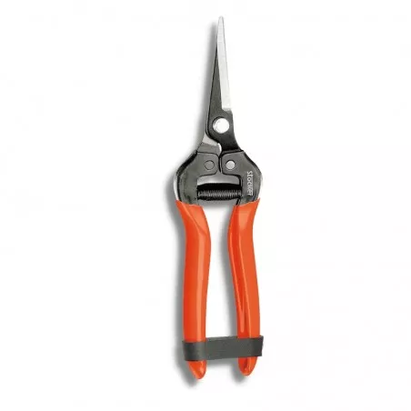 UTILIA Traubenschere 19 cm gerade Klinge