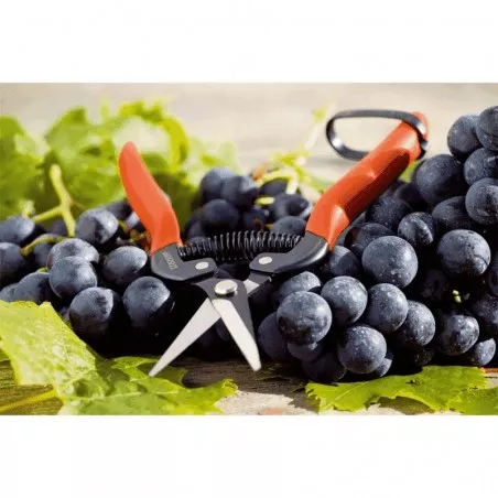 UTILIA grape shears 19 cm straight blade 2